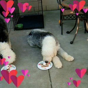 Meet your Posher, Liz